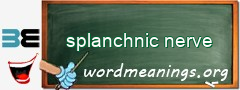 WordMeaning blackboard for splanchnic nerve